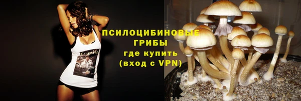 крисы Алексеевка
