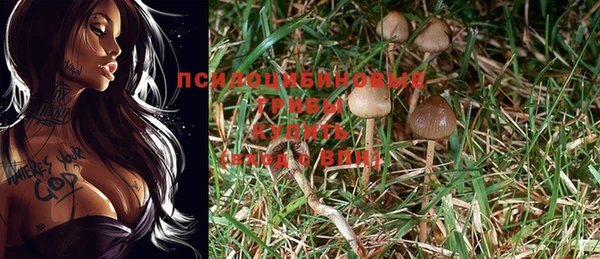 крисы Алексеевка