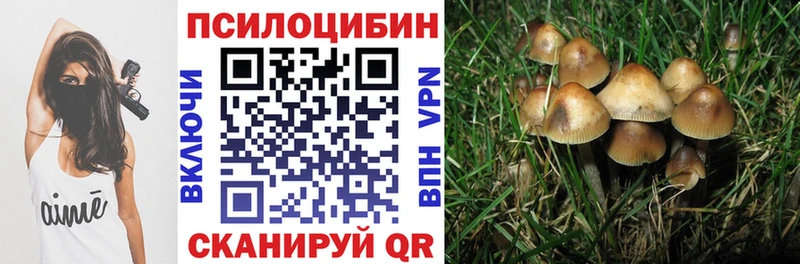 гидра как войти  Зверево  Галлюциногенные грибы прущие грибы 
